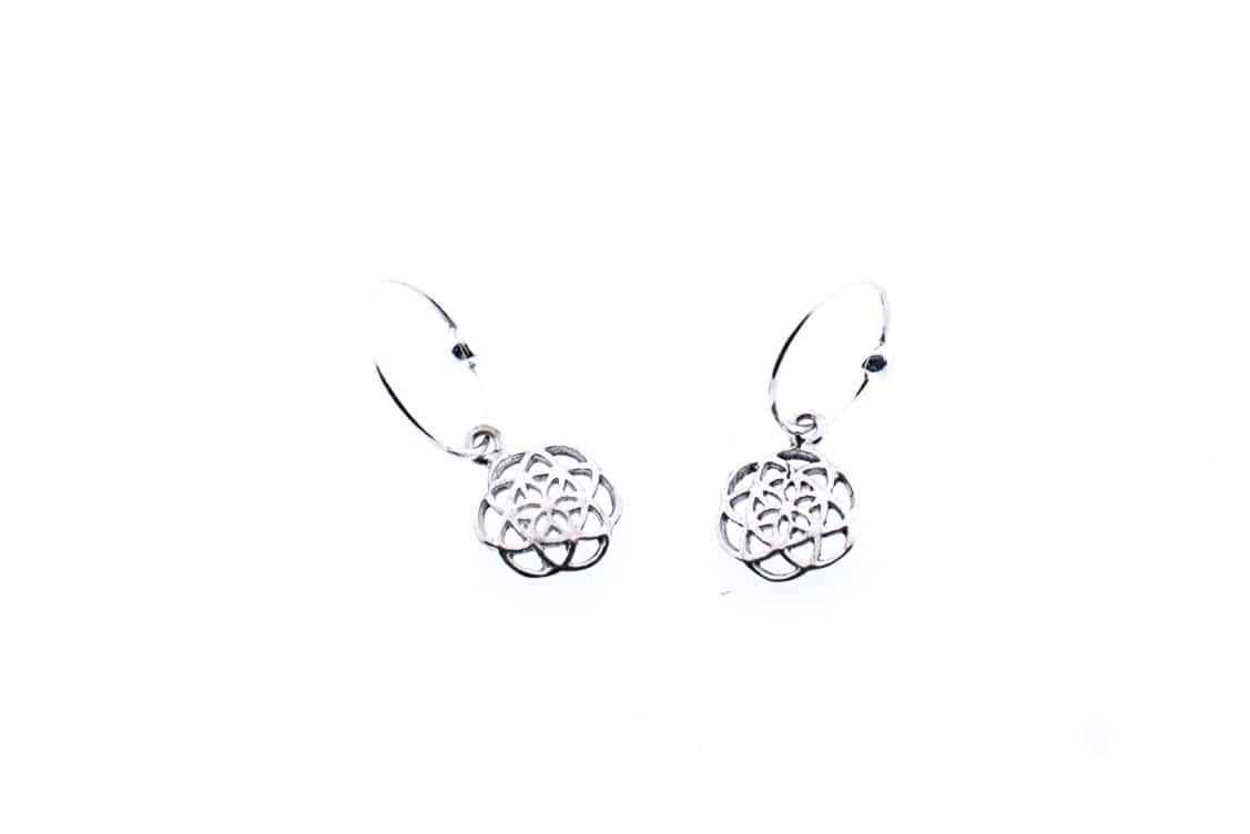 Ohrringe Lumea aus Silber 925
